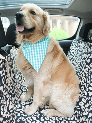 Mercerine tuto housse de protection voiture couverture transport chien tendance accessoire couture tuto gratuit animaux couture DIY