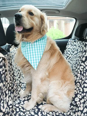 Mercerine tuto bandana pour animaux accessoire chien et chat chien tendance accessoire couture tuto gratuit animaux couture DIY