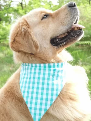 Mercerine tuto bandana pour animaux accessoire chien et chat chien tendance accessoire couture tuto gratuit animaux couture DIY