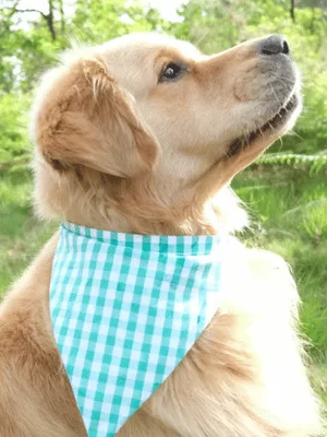 Mercerine tuto bandana pour animaux accessoire chien et chat chien tendance accessoire couture tuto gratuit animaux couture DIY