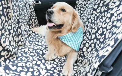 Housse de voiture pour chien